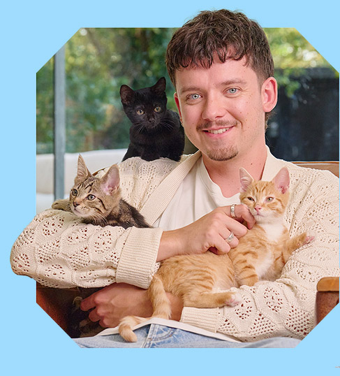 Asa Butterfield cuddling two juvenile cats. One cat is a tabby and the other is orange.
