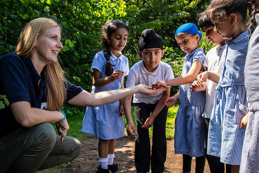 A group of young school children looking at minibeasts outside with an adult.