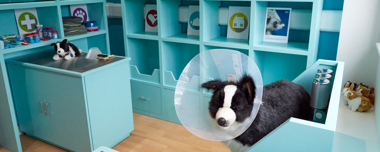 A learning space for young children designed to look and feel like a veterinary centre.