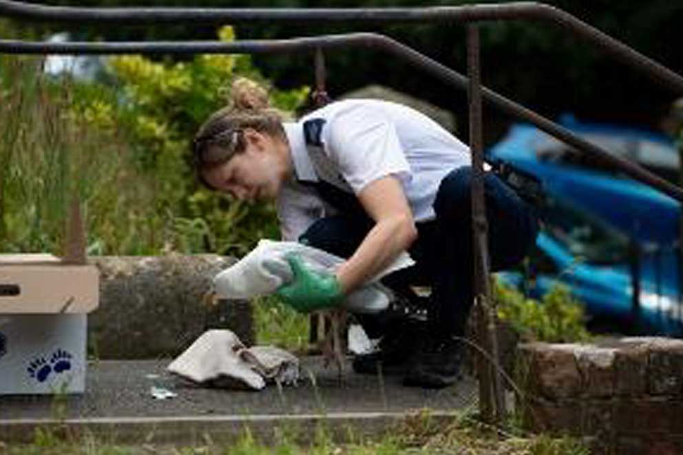 RSPCA inspector rescuing an injured gull