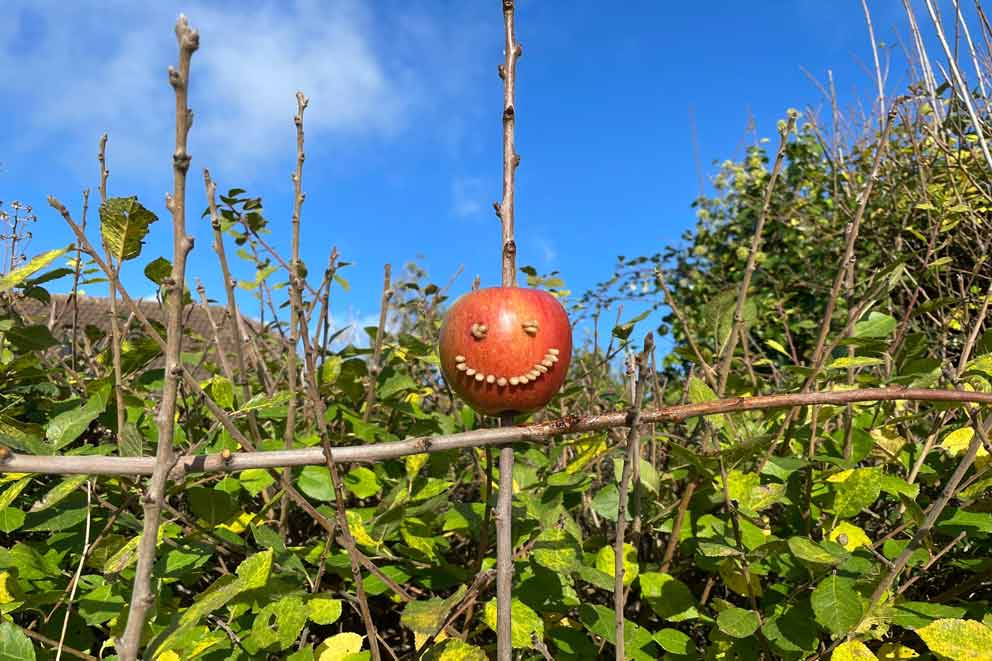 Decorated apple perched on a twig in a garden hedge under a bright blue sky.
